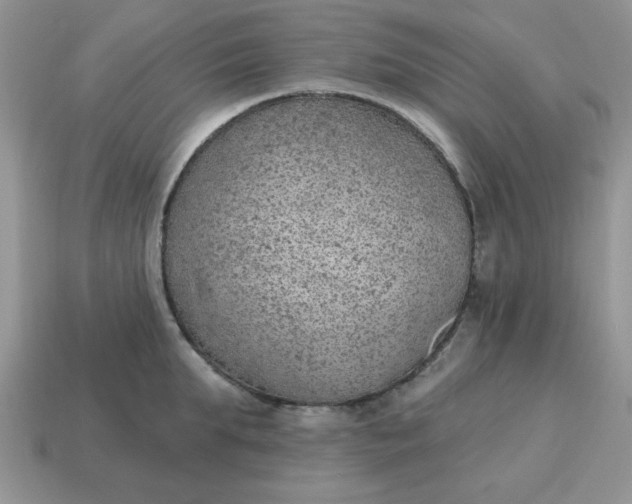 X0000115030903200911091340