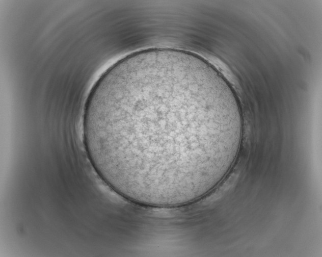 X0000115030904200911091340