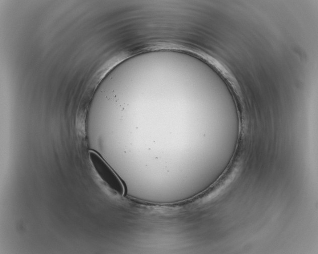 X0000115030905200911091340