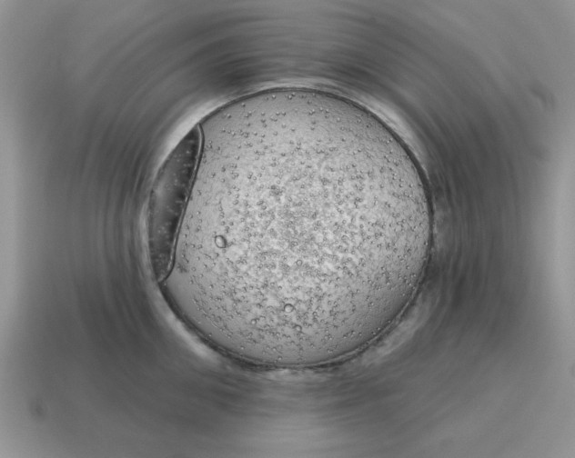 X0000115030906200911091340