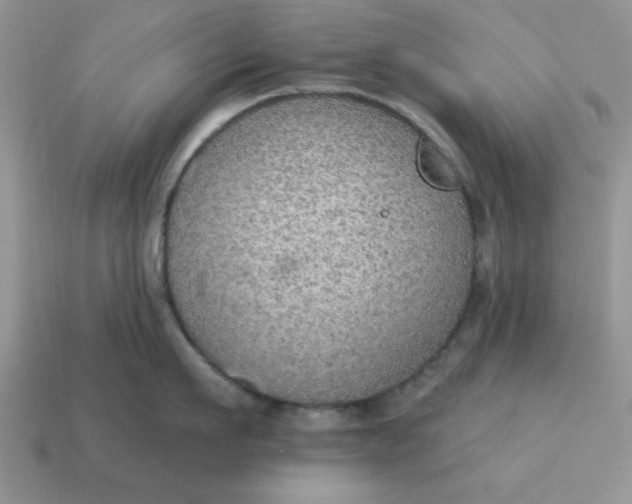 X0000115030911200911091340