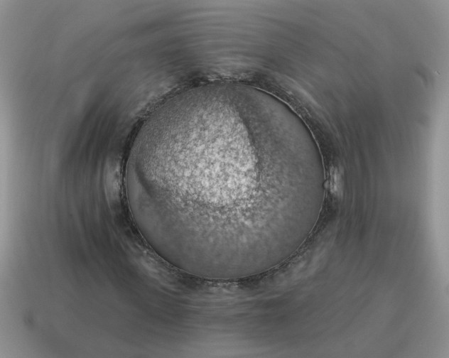 X0000115030915200911091339