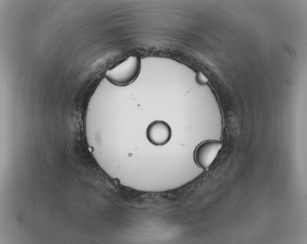 X0000115030918200911091339