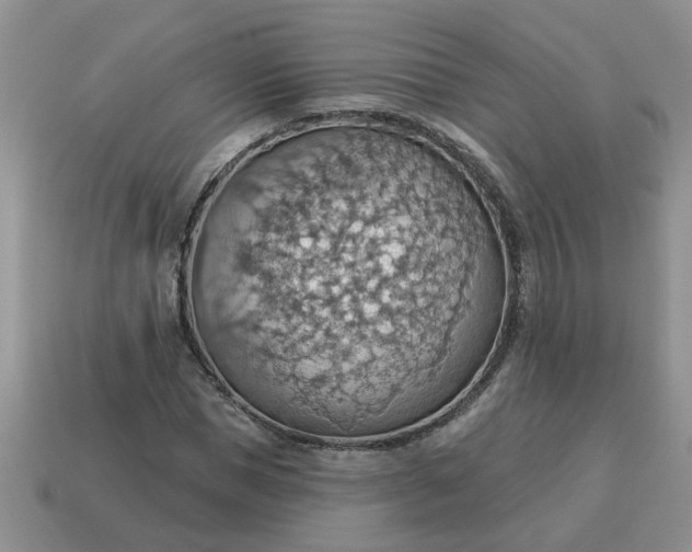 X0000115030921200911091339