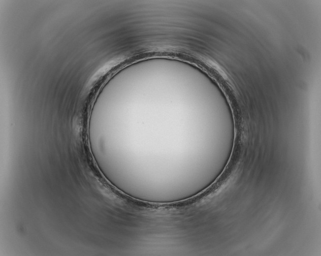 X0000115030922200911091339