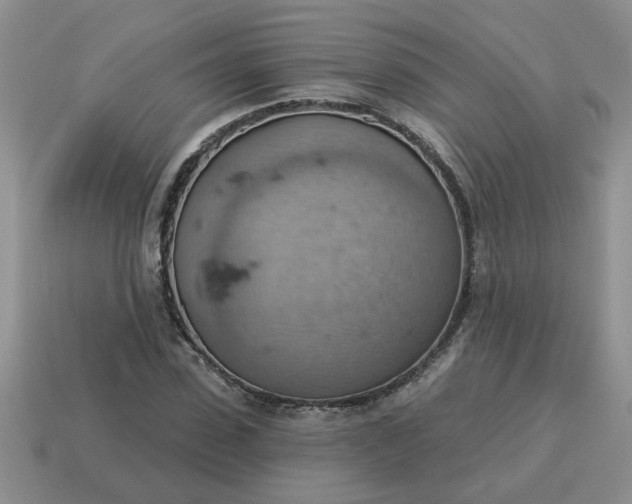 X0000115030923200911091339
