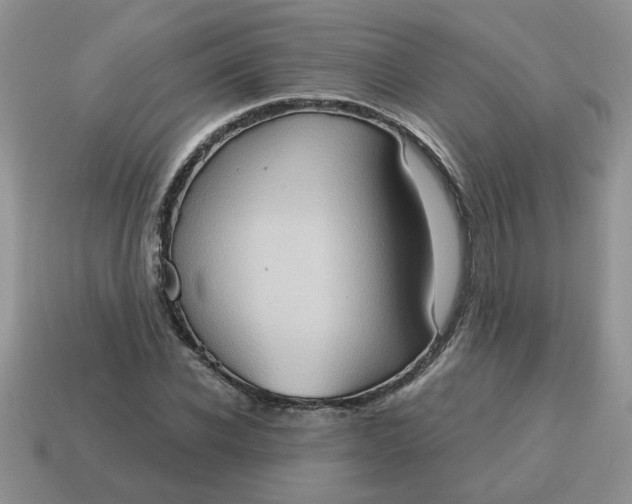 X0000115030926200911091339
