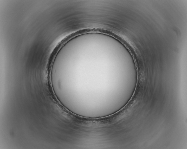 X0000115030927200911091339