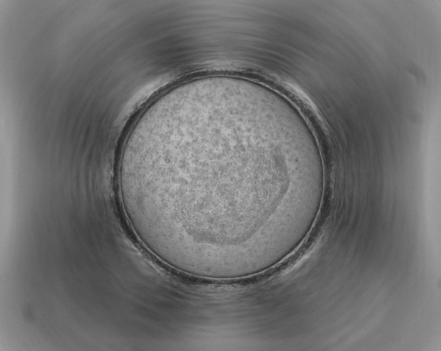 X0000115030930200911091339