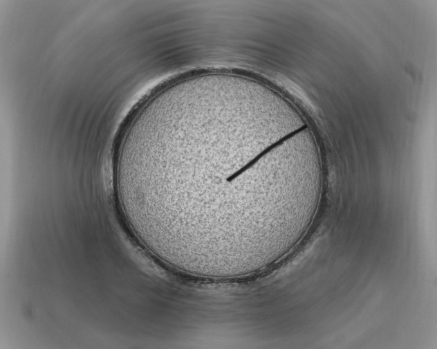 X0000115030934200911091339