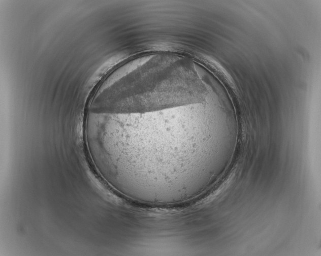 X0000115030938200911091339