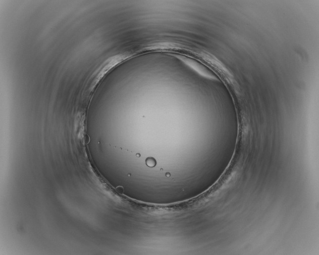 X0000115030945200911091340