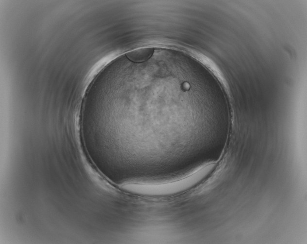 X0000115030954200911091340