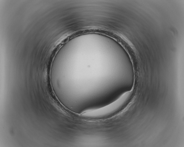 X0000115030969200911091339