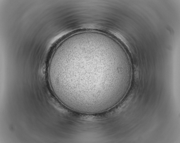 X0000115030971200911091339