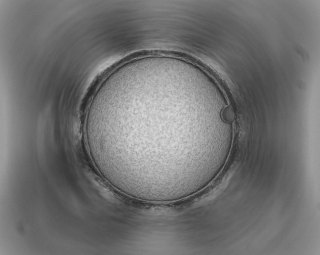 X0000115030974200911091339