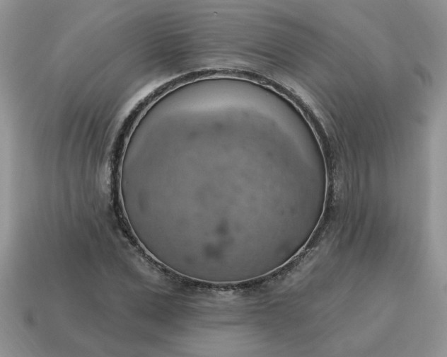 X0000115030975200911091339