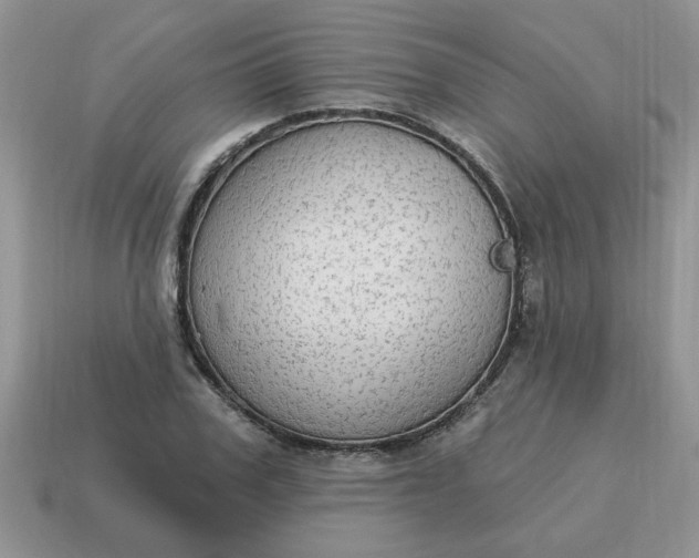 X0000115030979200911091339