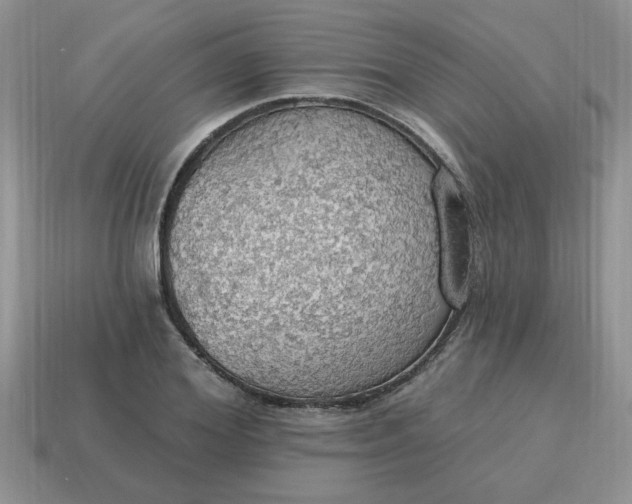 X0000115030980200911091339