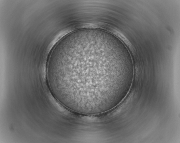 X0000115030994200911091339