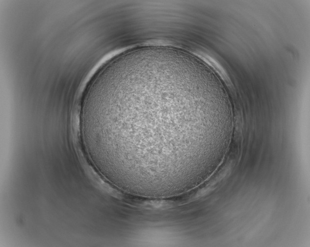 X0000115031000200911091339