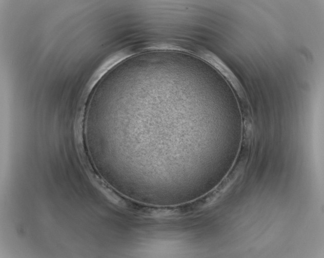 X0000115031002200911091339