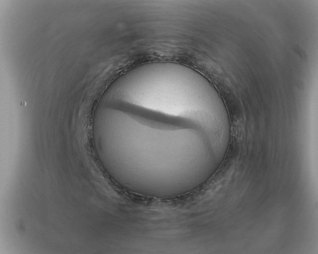 X0000115031009200911091338