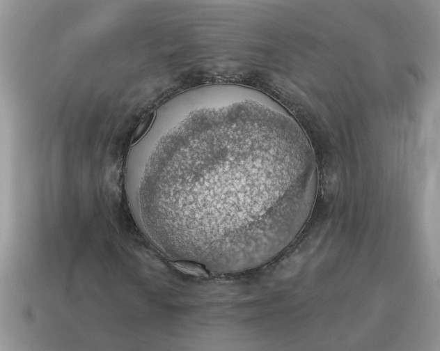 X0000115031010200911091338