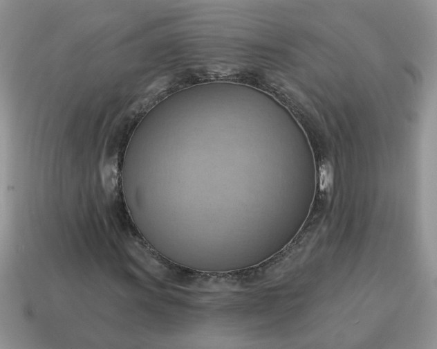 X0000115031011200911091338