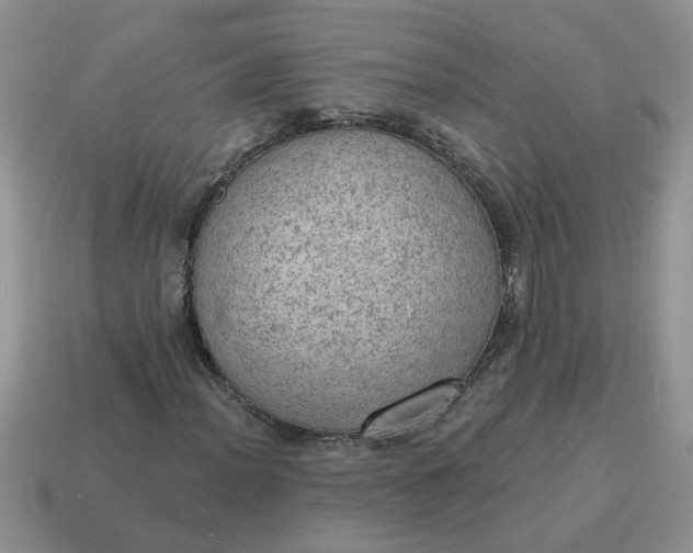 X0000115031012200911091338