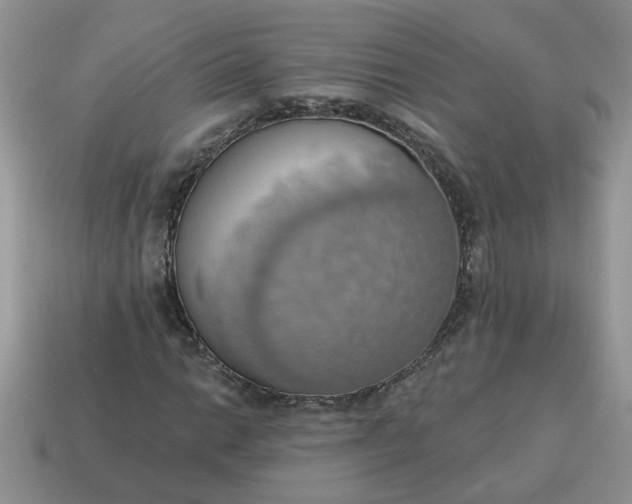 X0000115031014200911091338