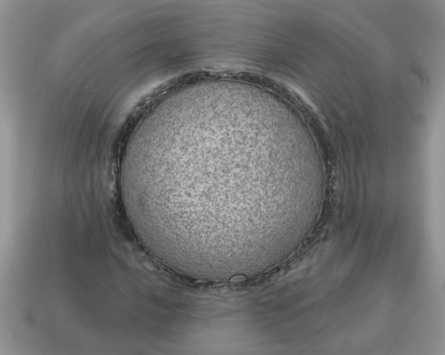 X0000115031016200911091338