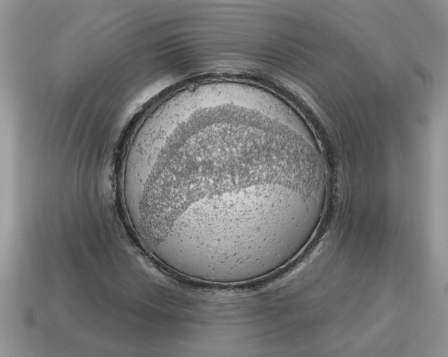 X0000115031018200911091338
