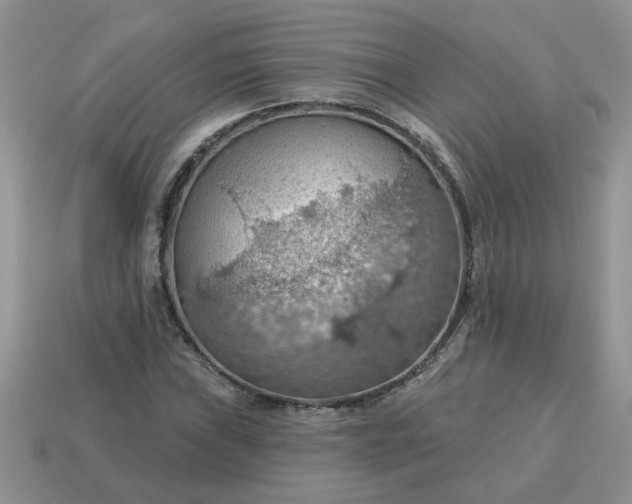 X0000115031019200911091338