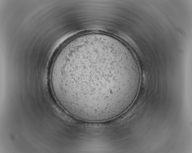 X0000115031020200911091338