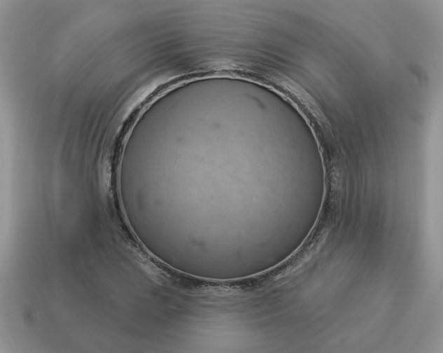 X0000115031023200911091338