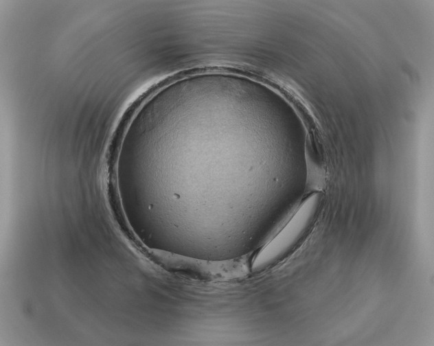 X0000115031024200911091338