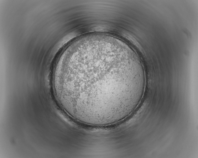 X0000115031026200911091338