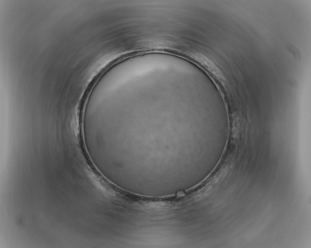 X0000115031031200911091338