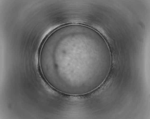 X0000115031032200911091338