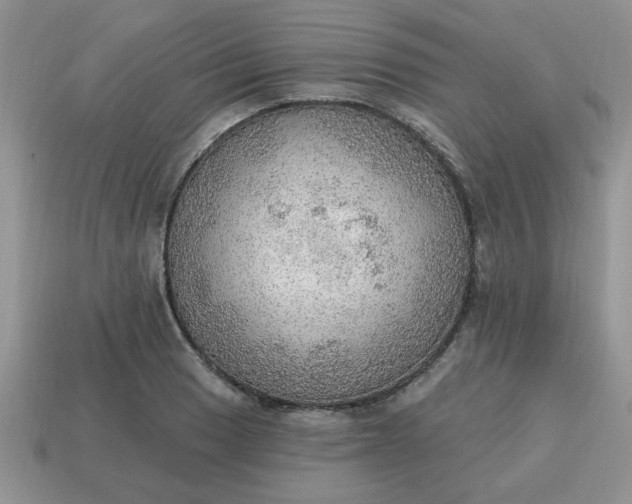 X0000115031033200911091338