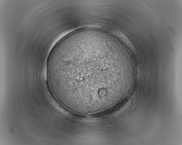 X0000115031036200911091338