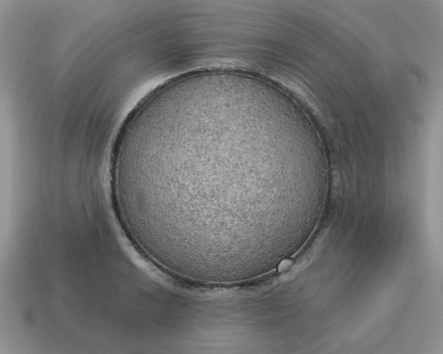 X0000115031038200911091338