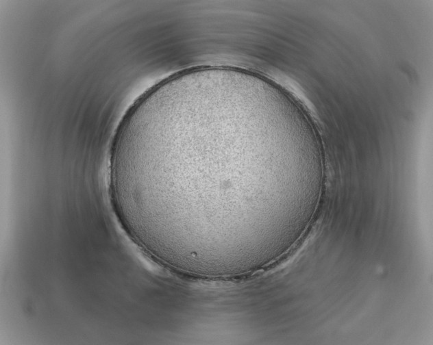 X0000115031040200911091338
