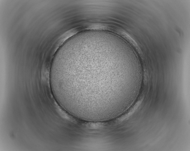 X0000115031041200911091338