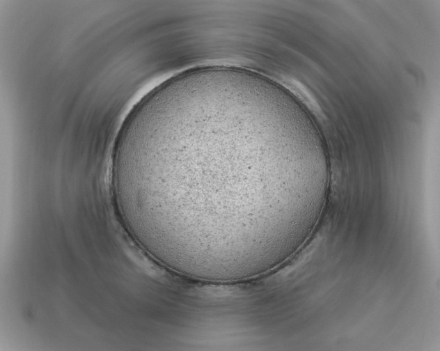 X0000115031044200911091338