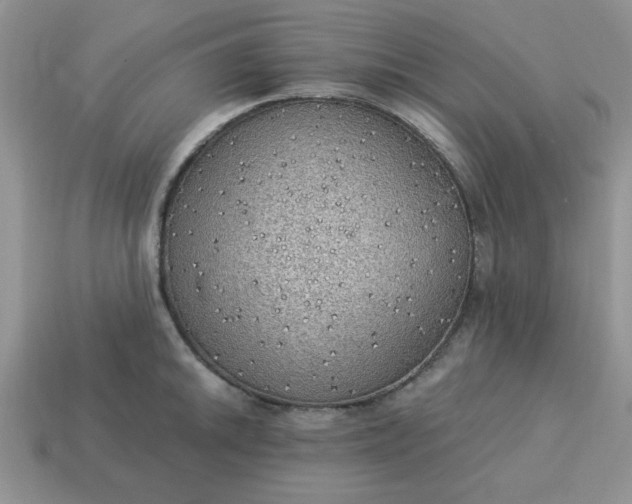 X0000115031046200911091338