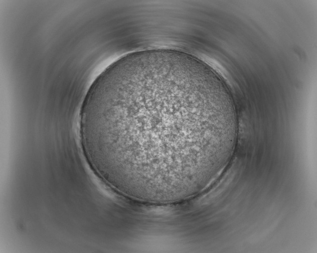 X0000115031047200911091338