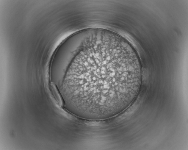 X0000115031048200911091338