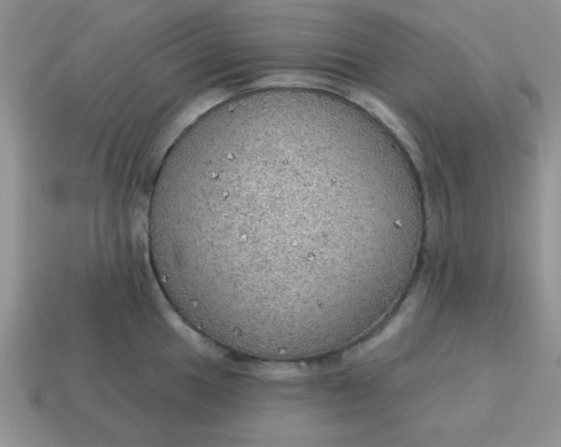 X0000115031049200911091338
